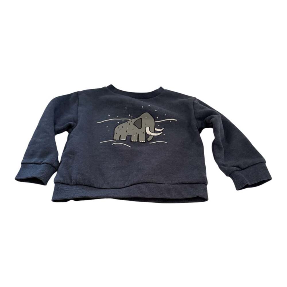 Roots & Threads Navy Blue Woolly Mammoth Graphic Sweatshirt Size 2T